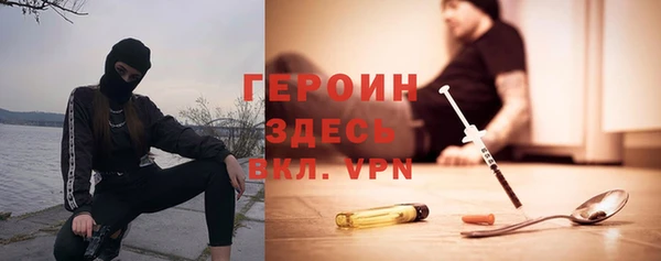 индика Абаза